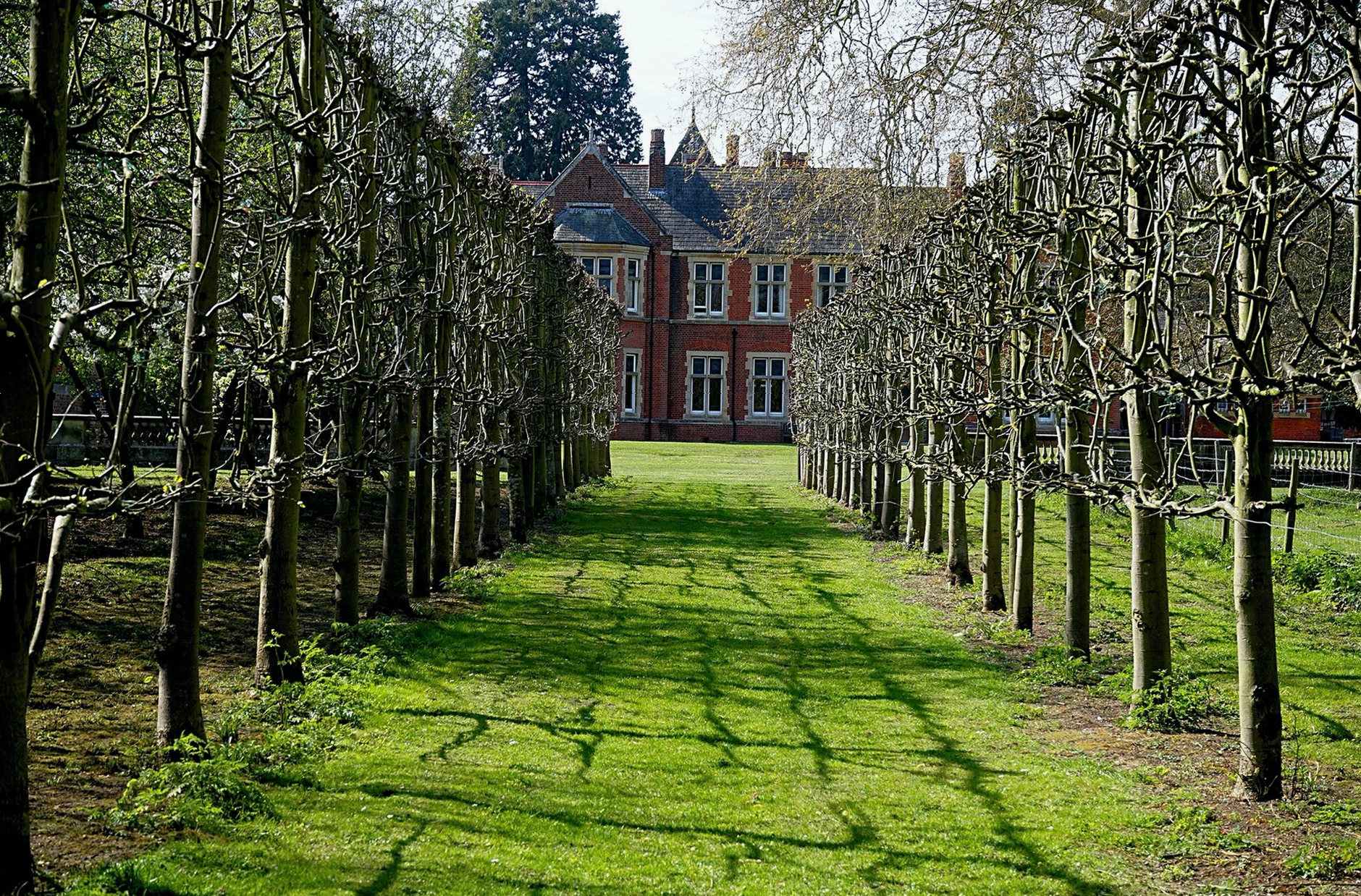 Beautiful row of pruned trees leading to a historic building in an English garden.