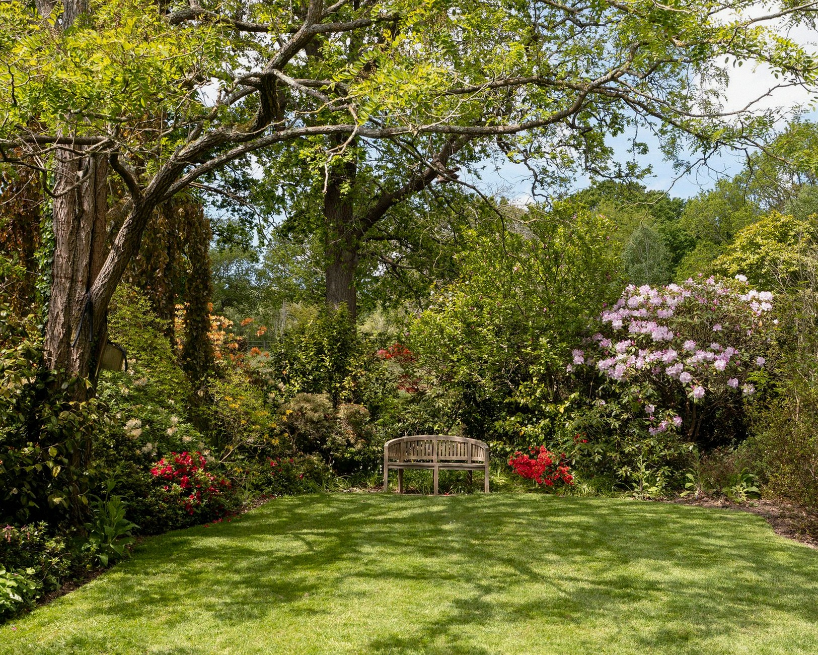 A tranquil garden scene featuring a bench surrounded by lush greenery and colorful flowers.