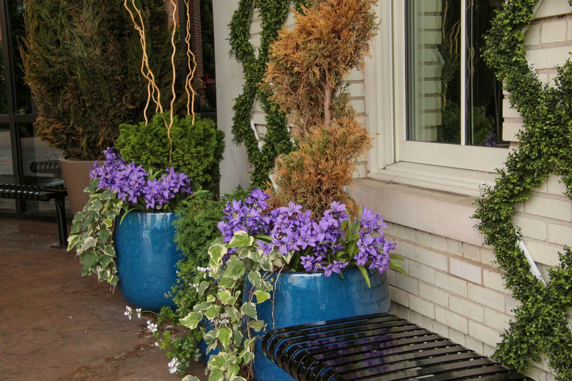 Colorful flower arrangement with ivy in blue ceramic pots outside a building.