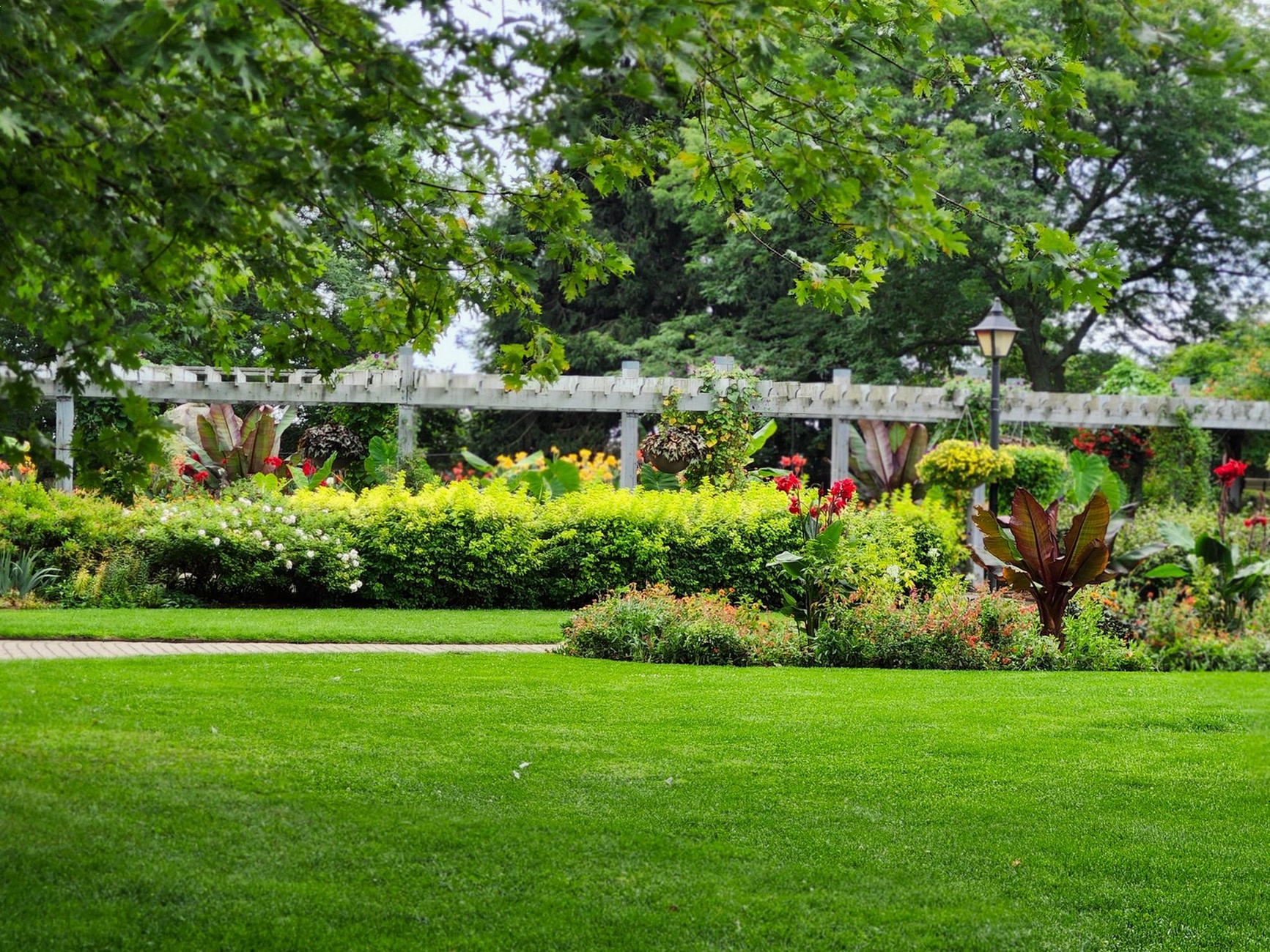 Charming summer garden with vibrant flowers and lush greenery in Toronto.